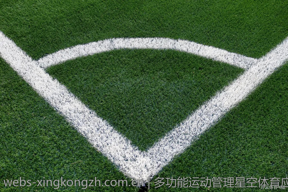 多功能运动管理星空体育应用